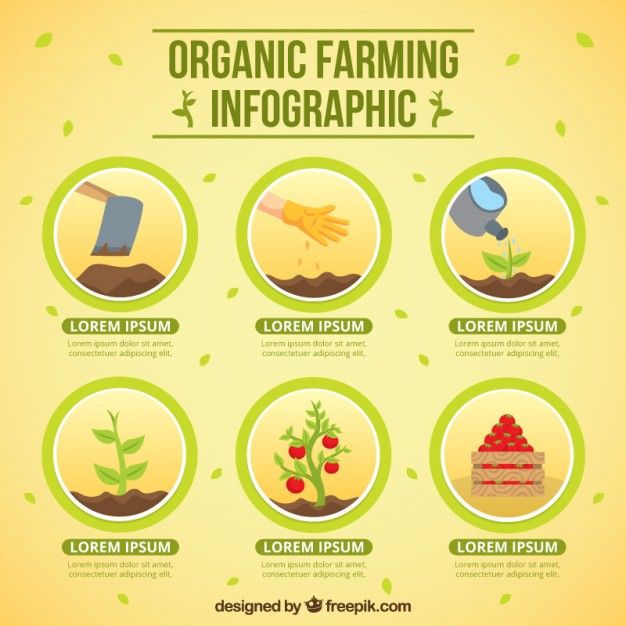 Organic Farming Guide